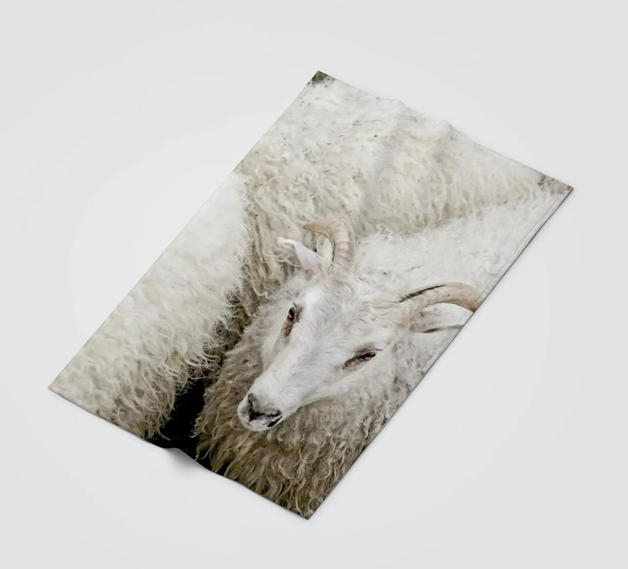 The Fluff coperta in pile da Nur Mut