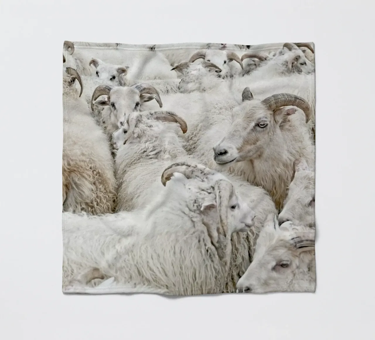 Stick Together coperta in pile da Nur Mut