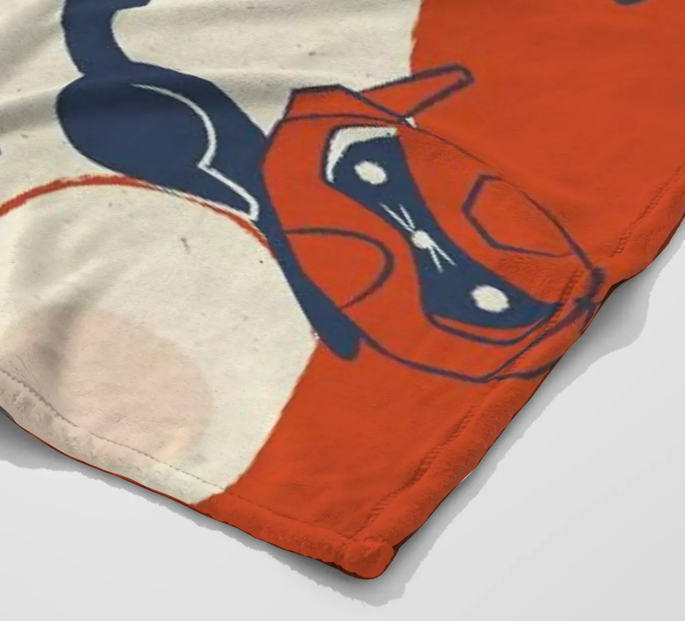 Kittens fleece blanket by Jay Fleck