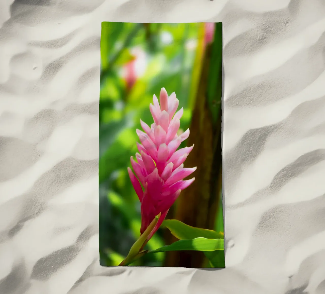 Fleur rose tropicale serviette de plage de Léa Lefebvre Photography