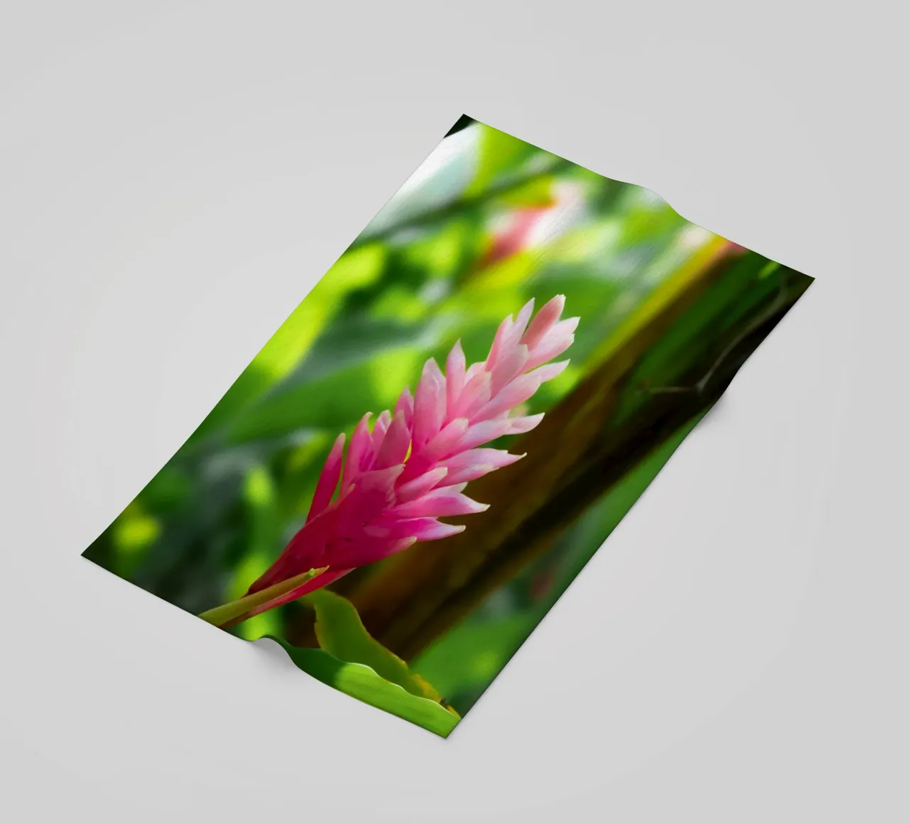 Fleur rose tropicale serviette de plage de Léa Lefebvre Photography