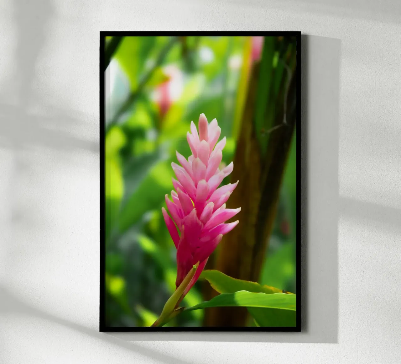 Fiore rosa tropicale poster con telaio in legno da Léa Lefebvre Photography