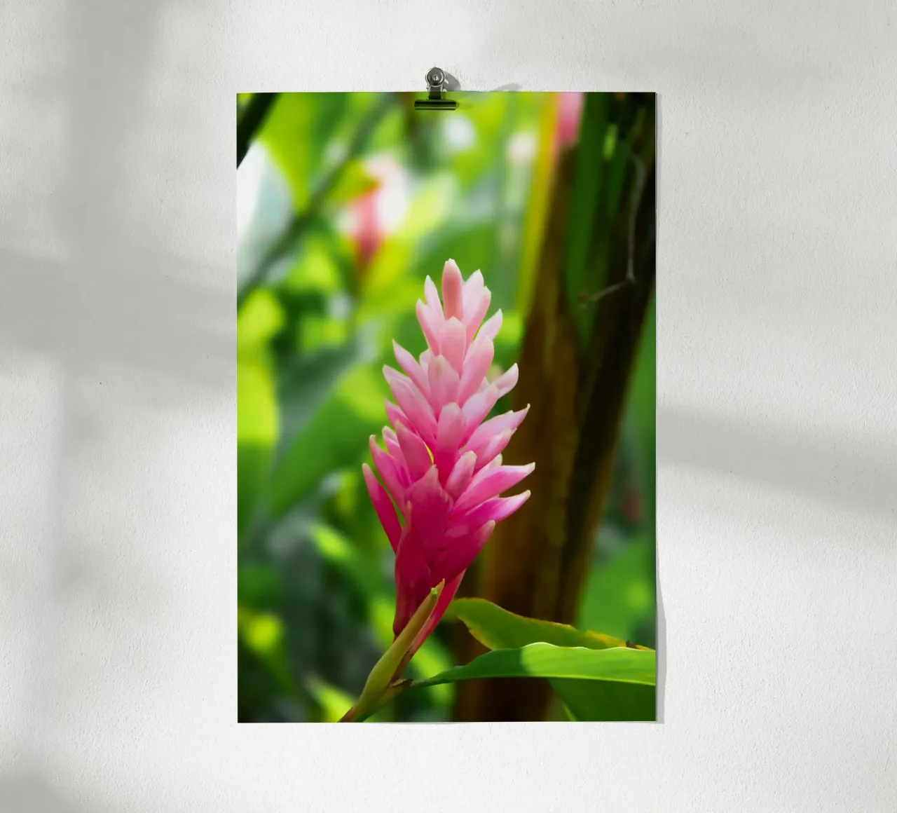 Fiore rosa tropicale poster con telaio in legno da Léa Lefebvre Photography