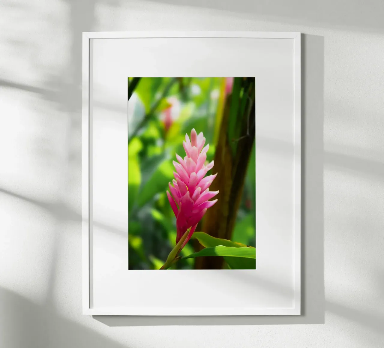 Fiore rosa tropicale poster con telaio in legno da Léa Lefebvre Photography
