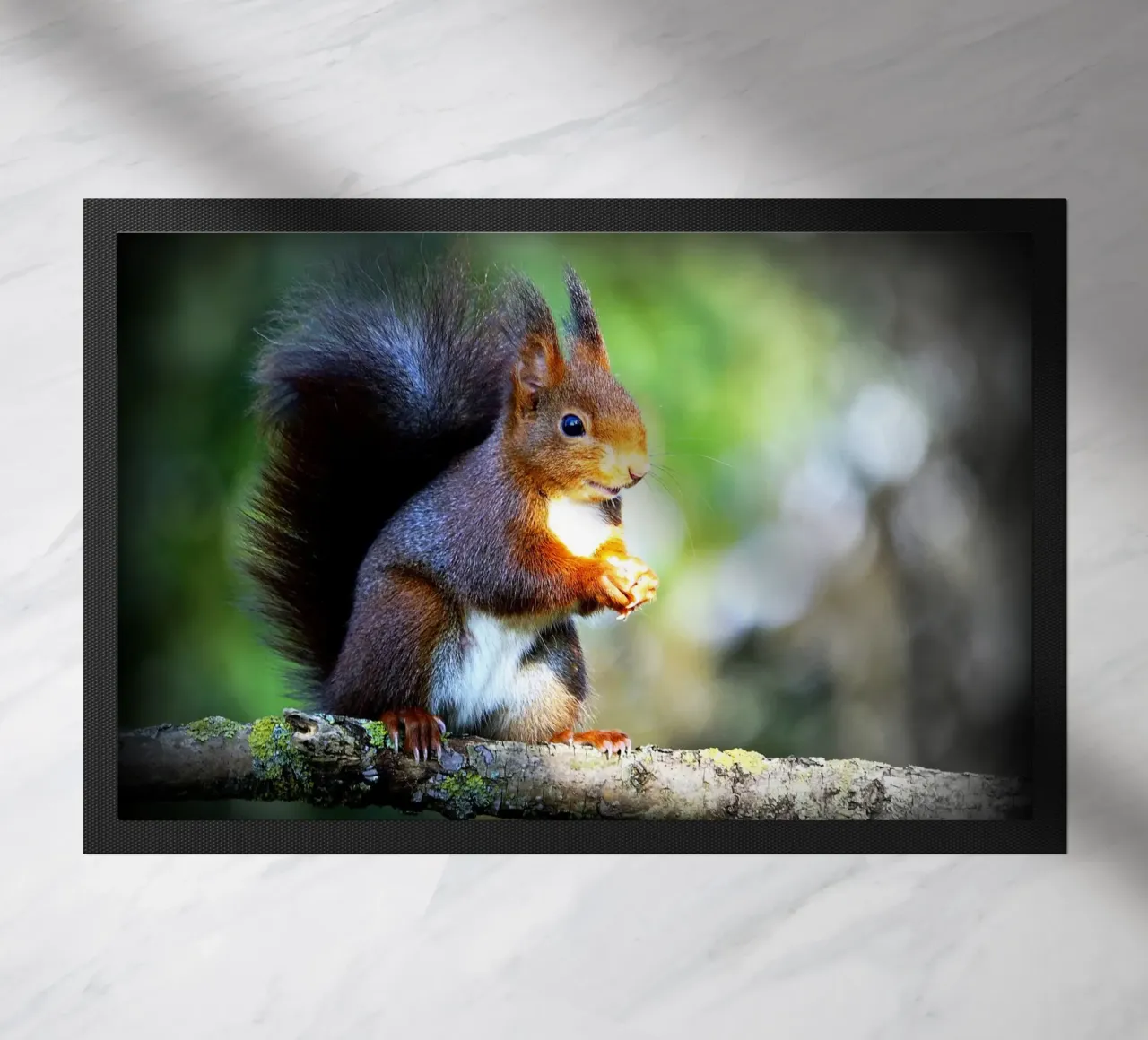 FAA134 doormat by Thierry vobmann photography