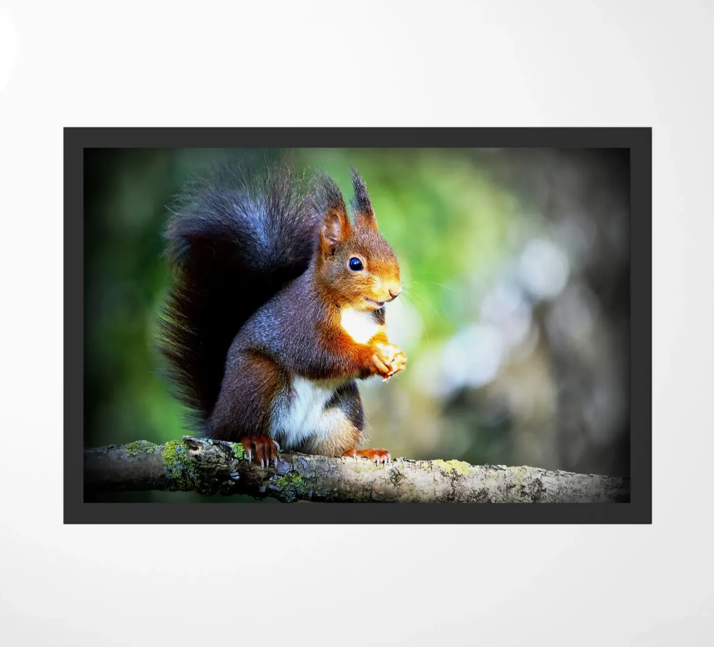 FAA134 doormat by Thierry vobmann photography