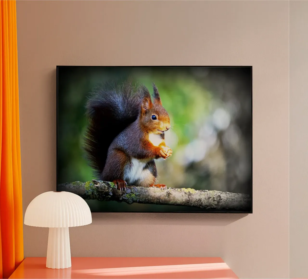 FAA134 plexiglass da Thierry vobmann photography