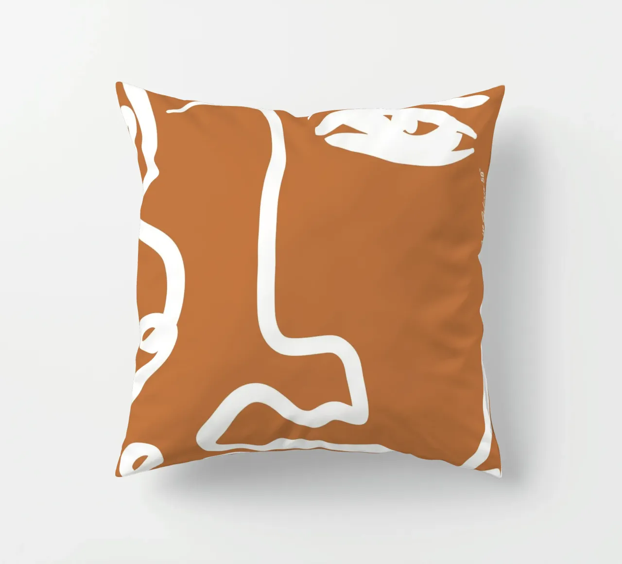 Soft Abstraction coussin de Mike Leymi