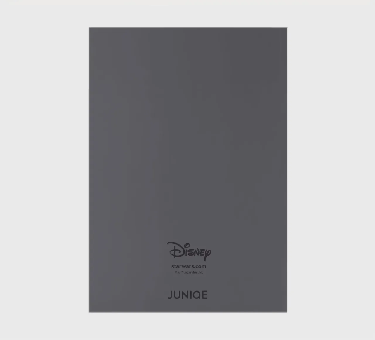 JAGD DURCH DIE GALAXY Notizbuch von Star Wars