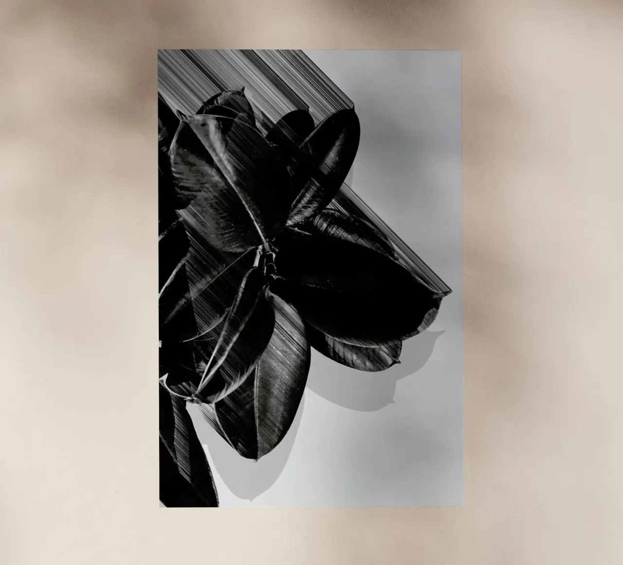 We Crush pellicola backlit da Adam Priester