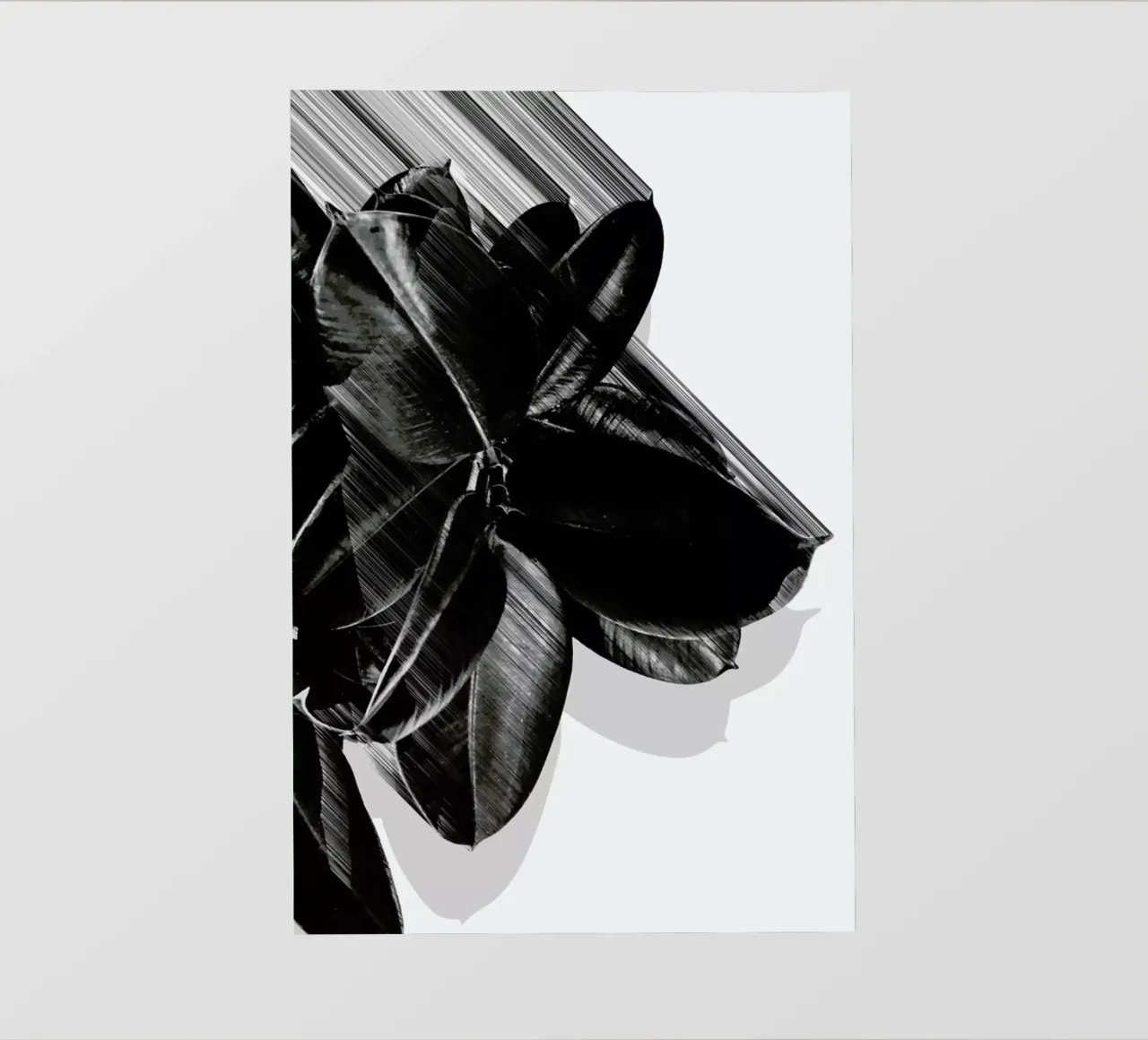 We Crush pellicola backlit da Adam Priester