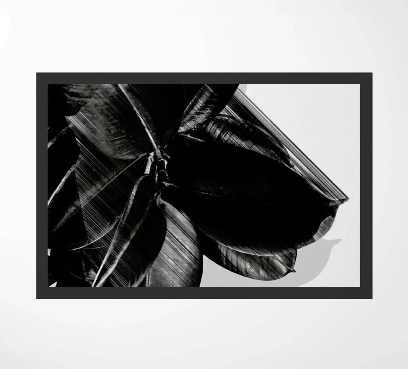 We Crush deurmat van Adam Priester