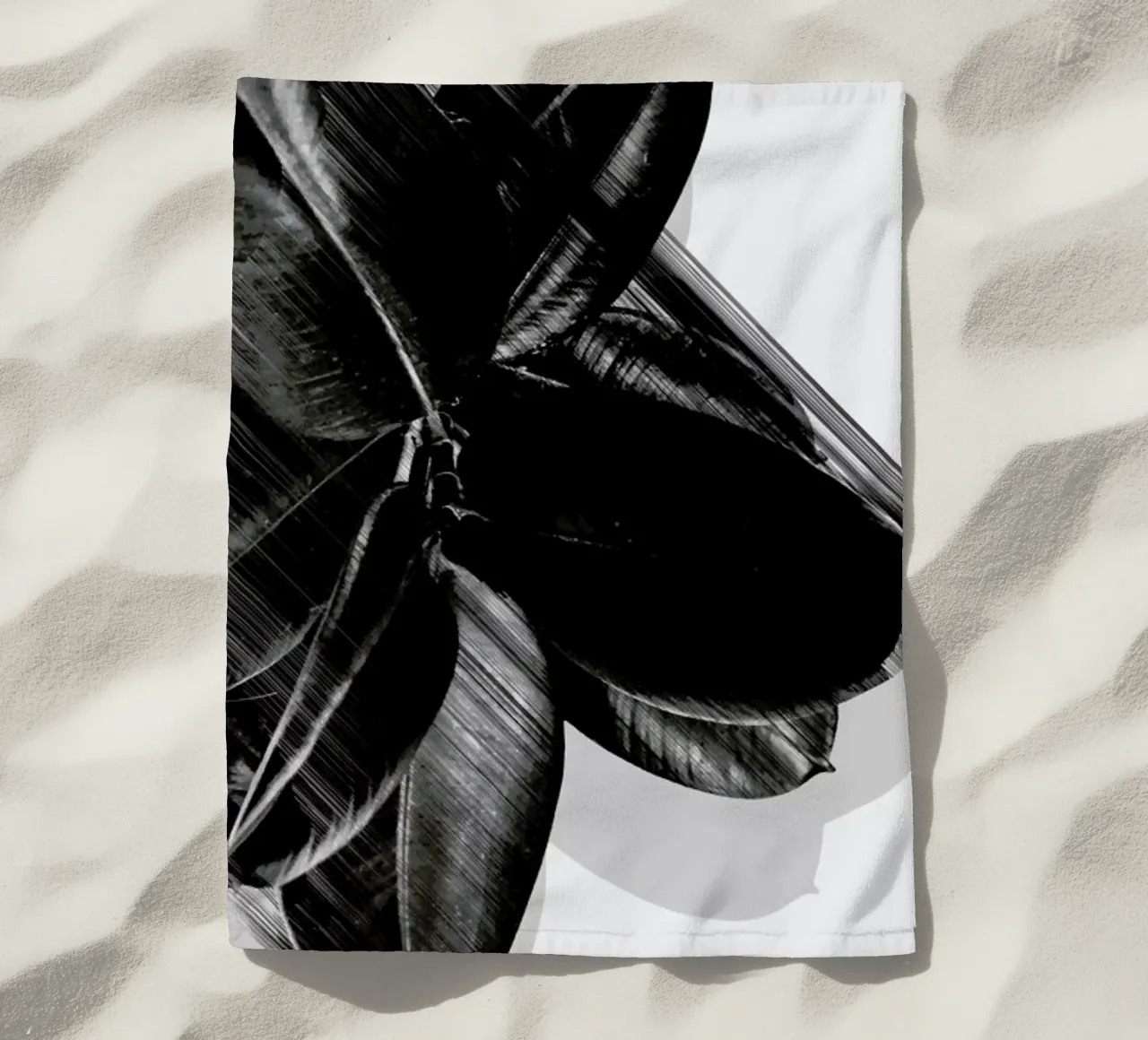 We Crush telo mare da Adam Priester