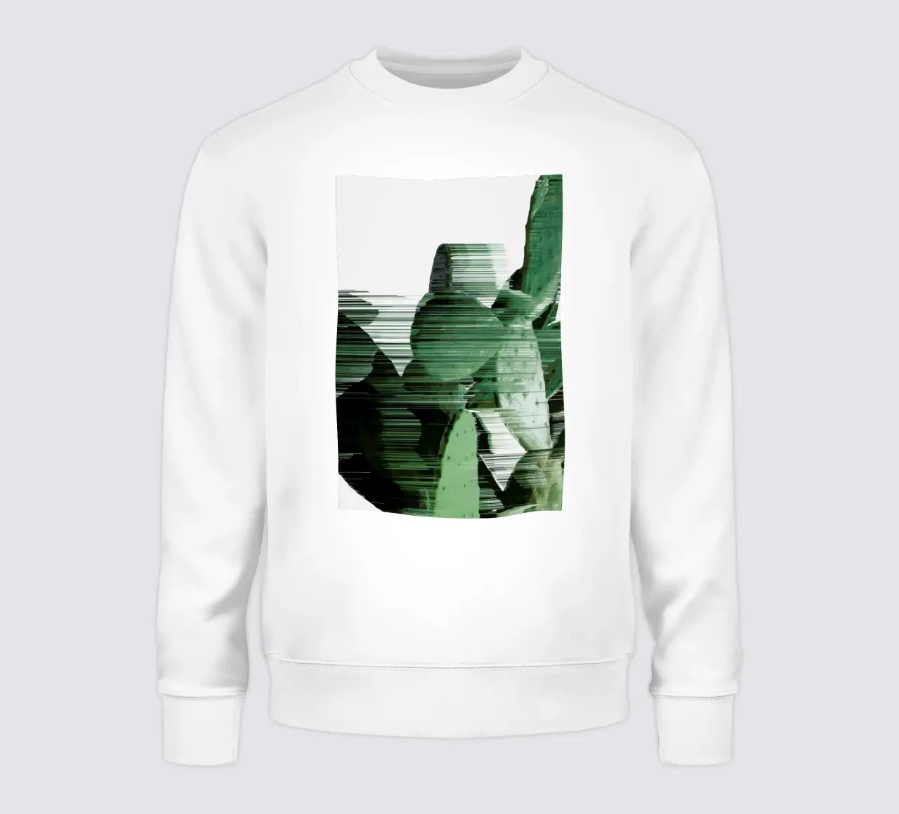 Sorted Cactus sweatshirt van Adam Priester