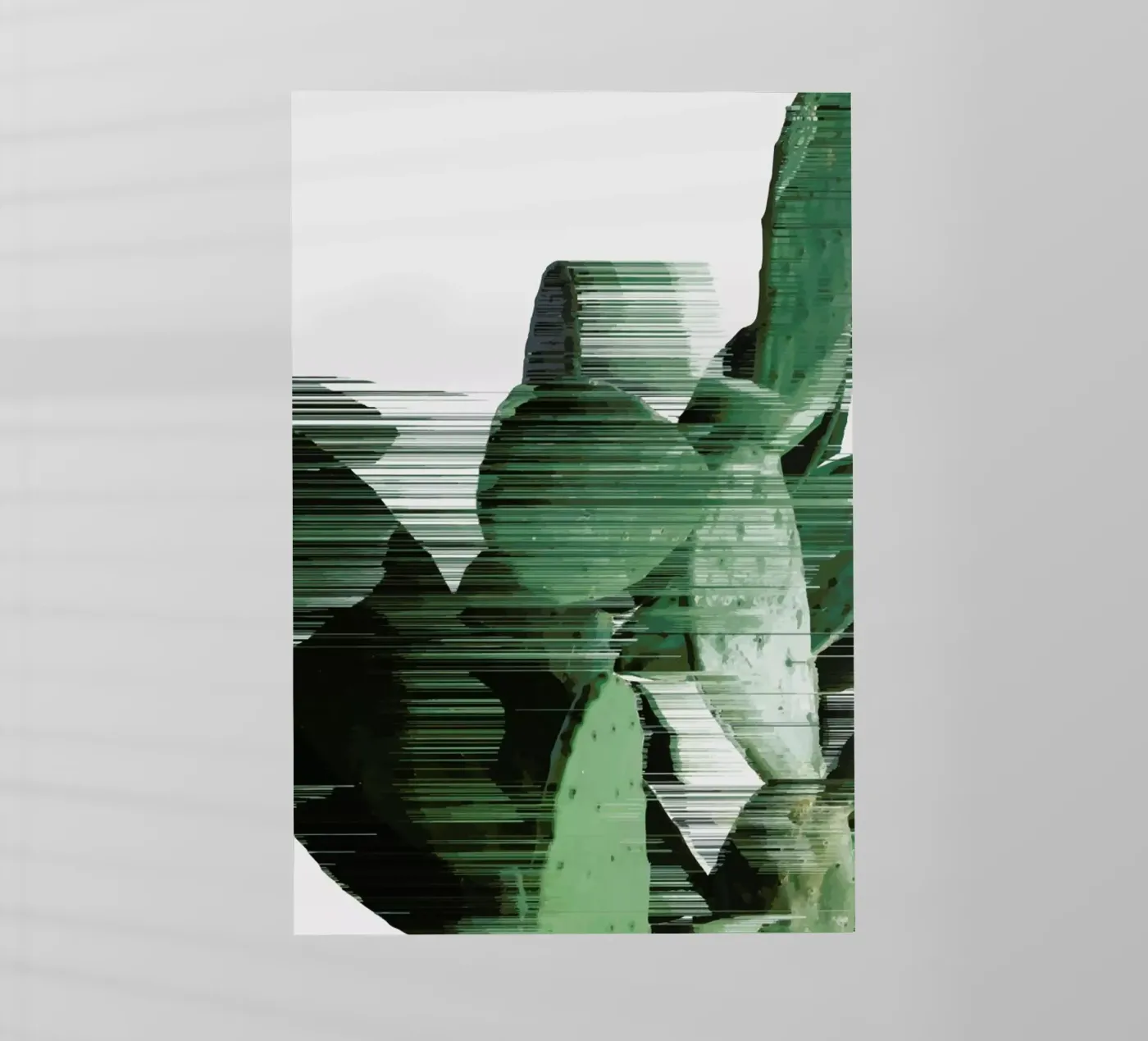 Sorted Cactus pellicola backlit da Adam Priester