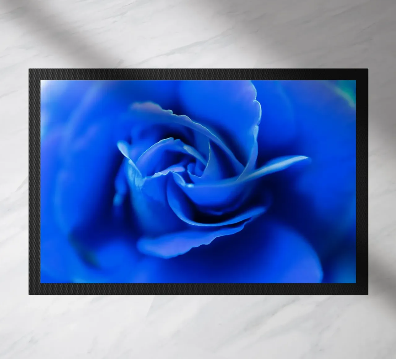 Flora 10 zerbino da rafael campezato