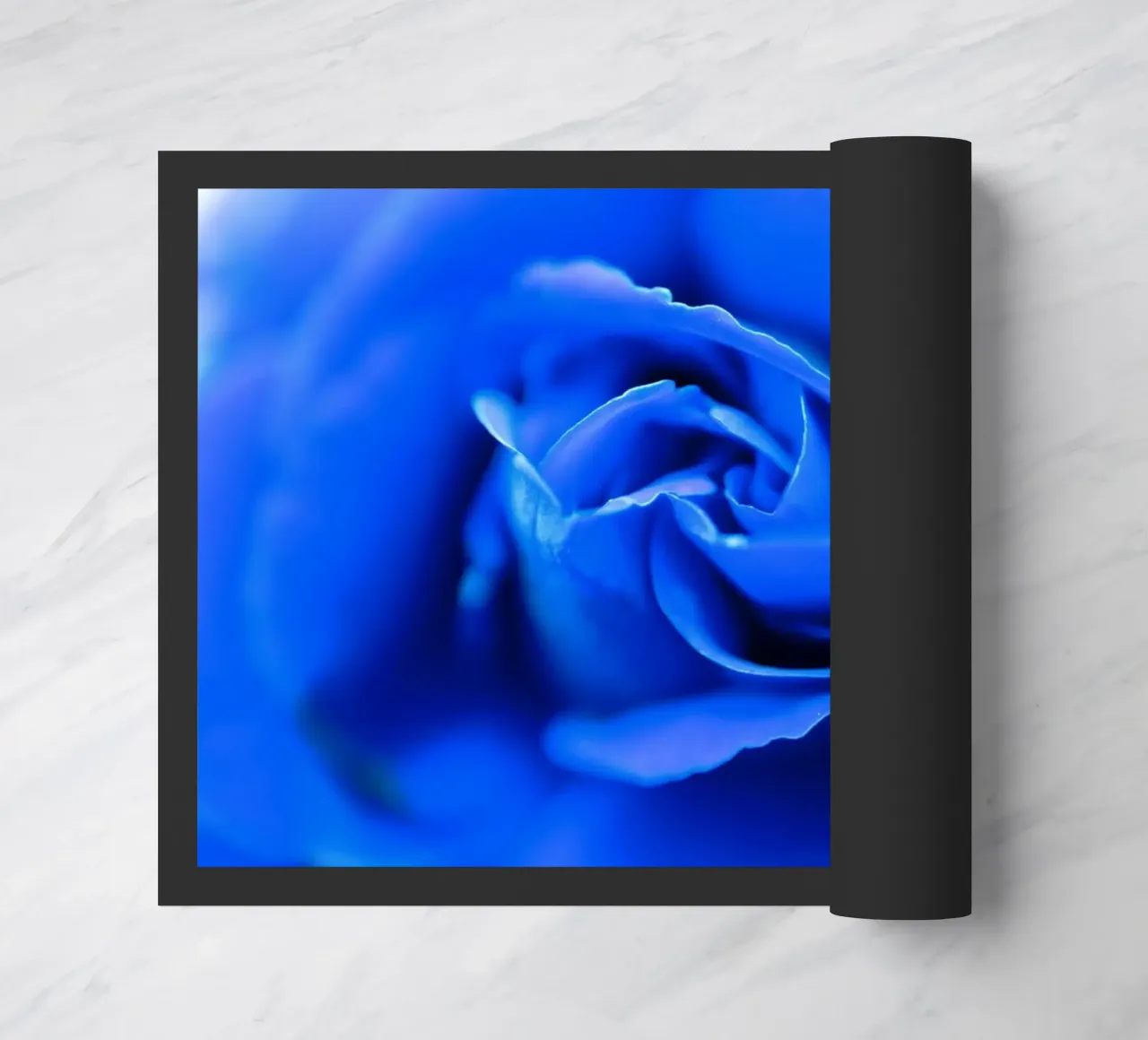 Flora 10 zerbino da rafael campezato