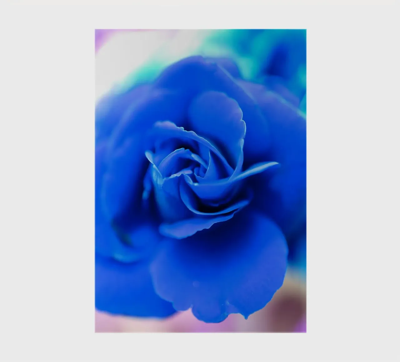Flora 10 notebook by rafael campezato