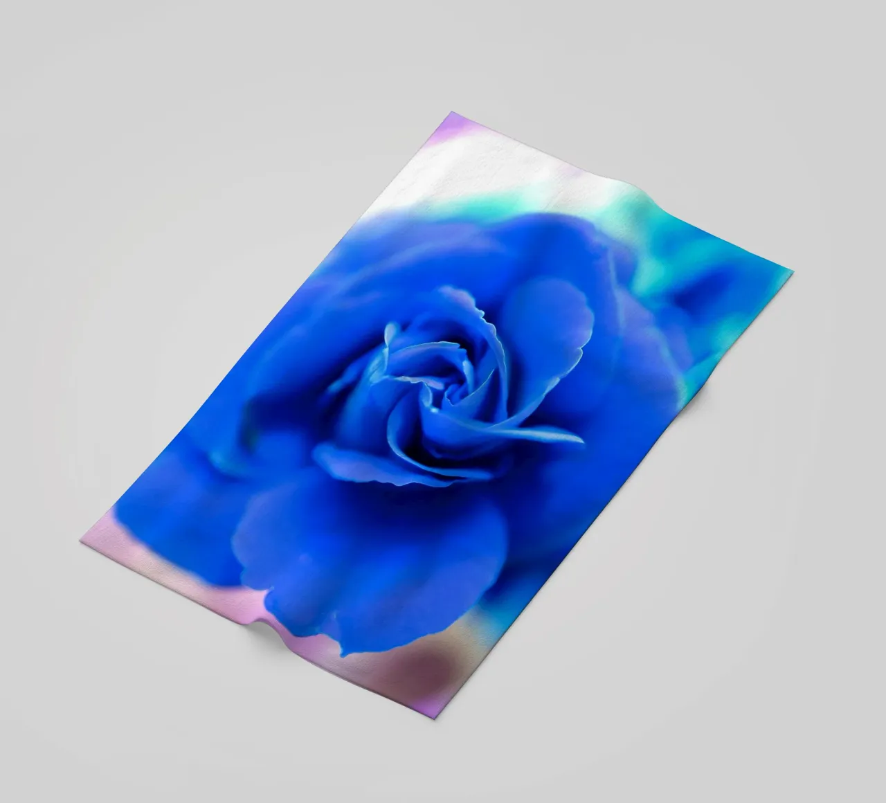 Flora 10 telo mare da rafael campezato