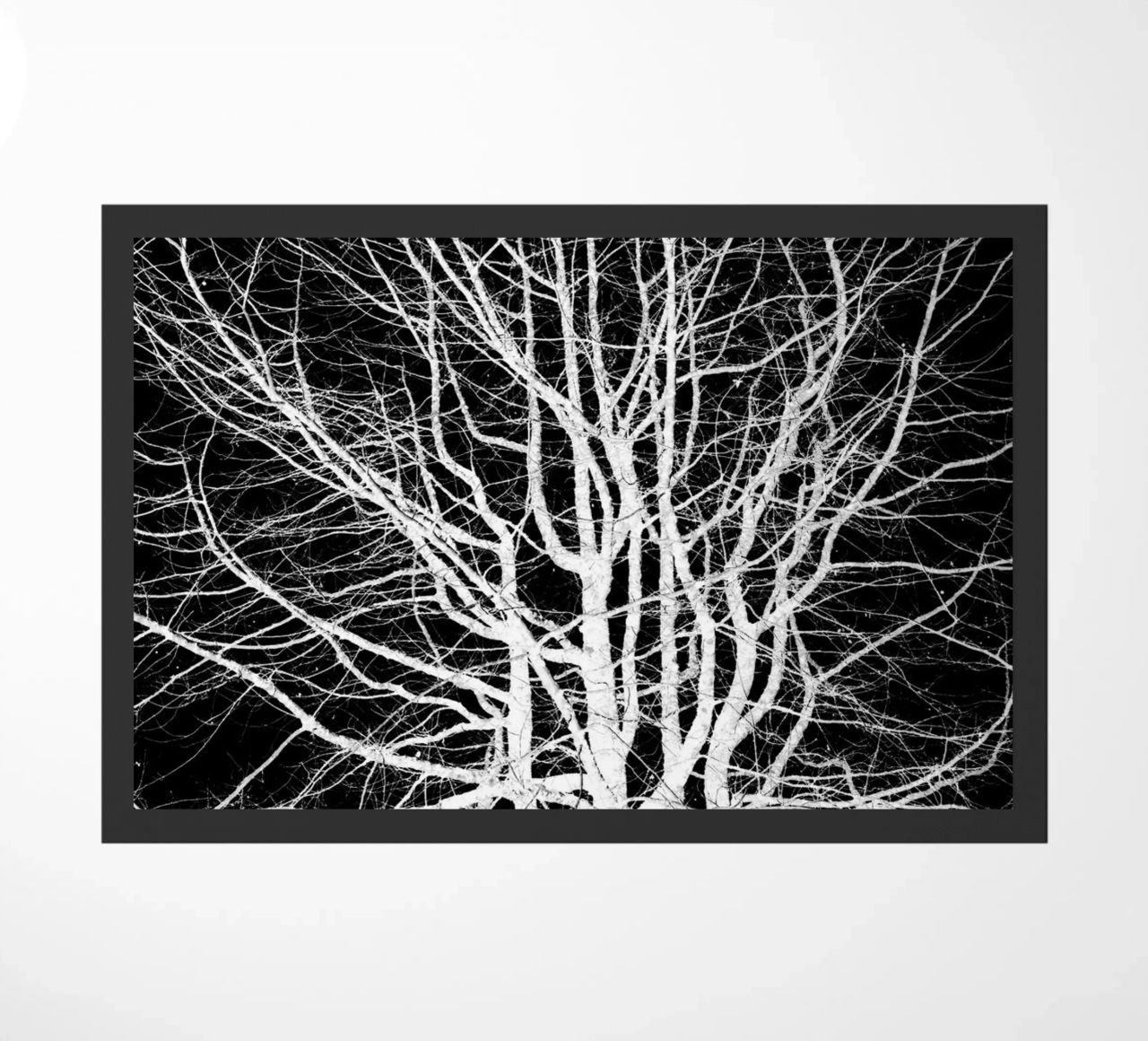 Albero della vita #1 zerbino da rafael campezato