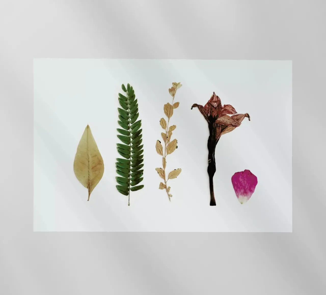 Faded pellicola backlit da Miles of Light