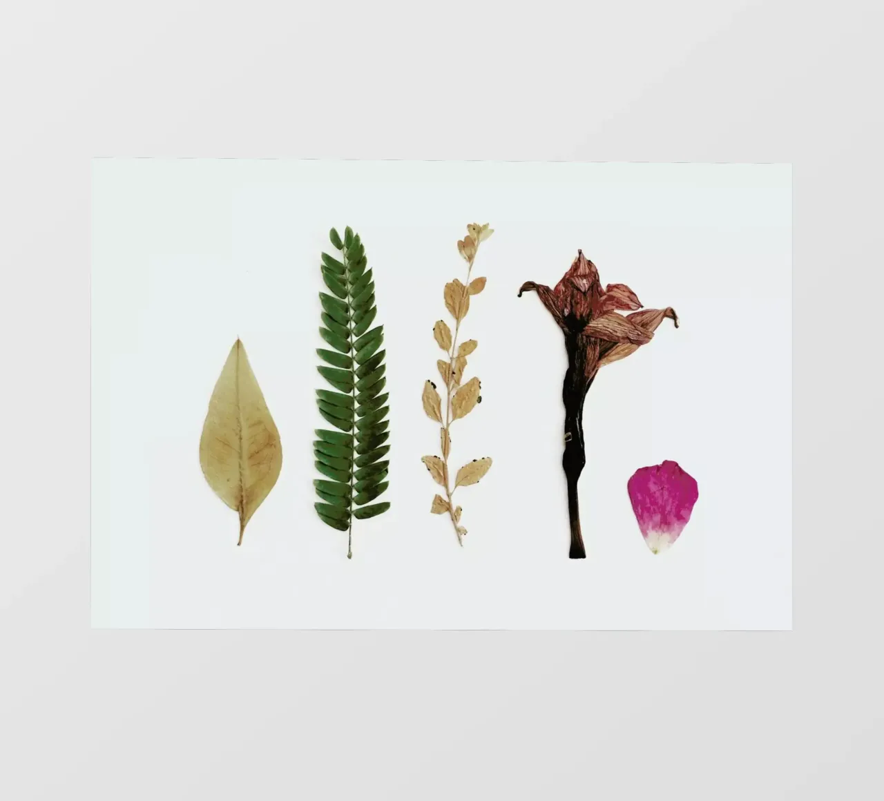 Faded pellicola backlit da Miles of Light