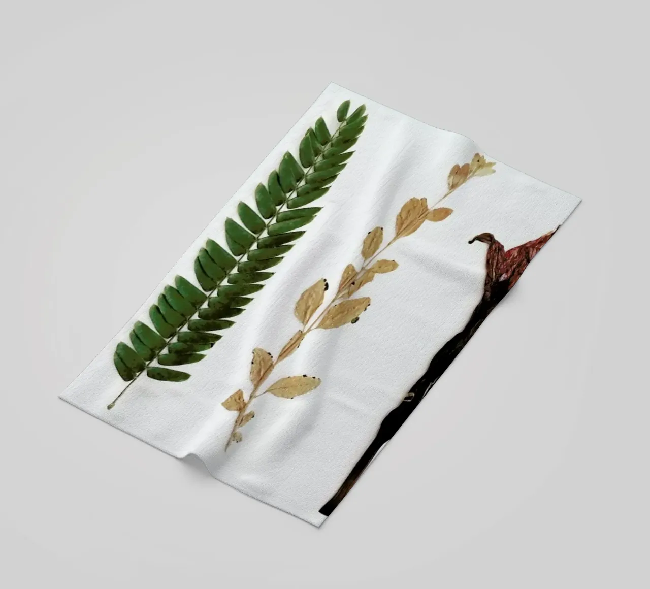 Faded beach towel by Miles of Light