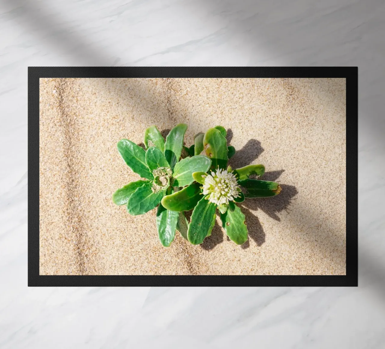 Beachly zerbino da rafael campezato