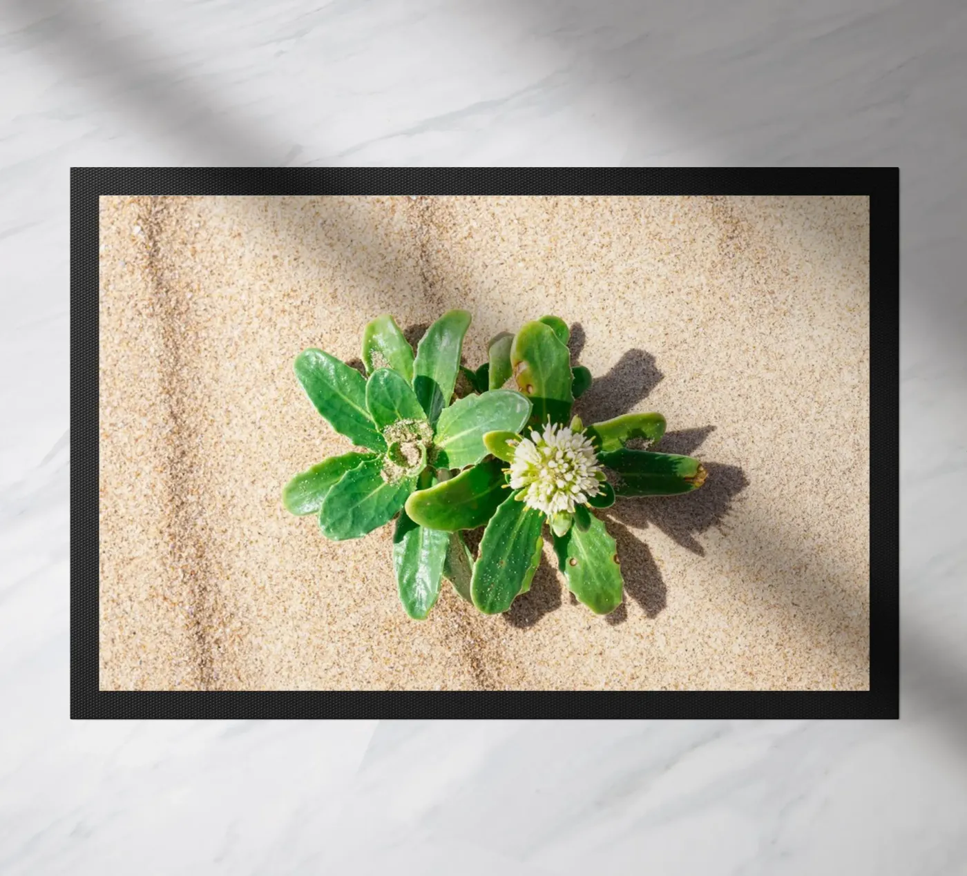 Beachly deurmat van rafael campezato