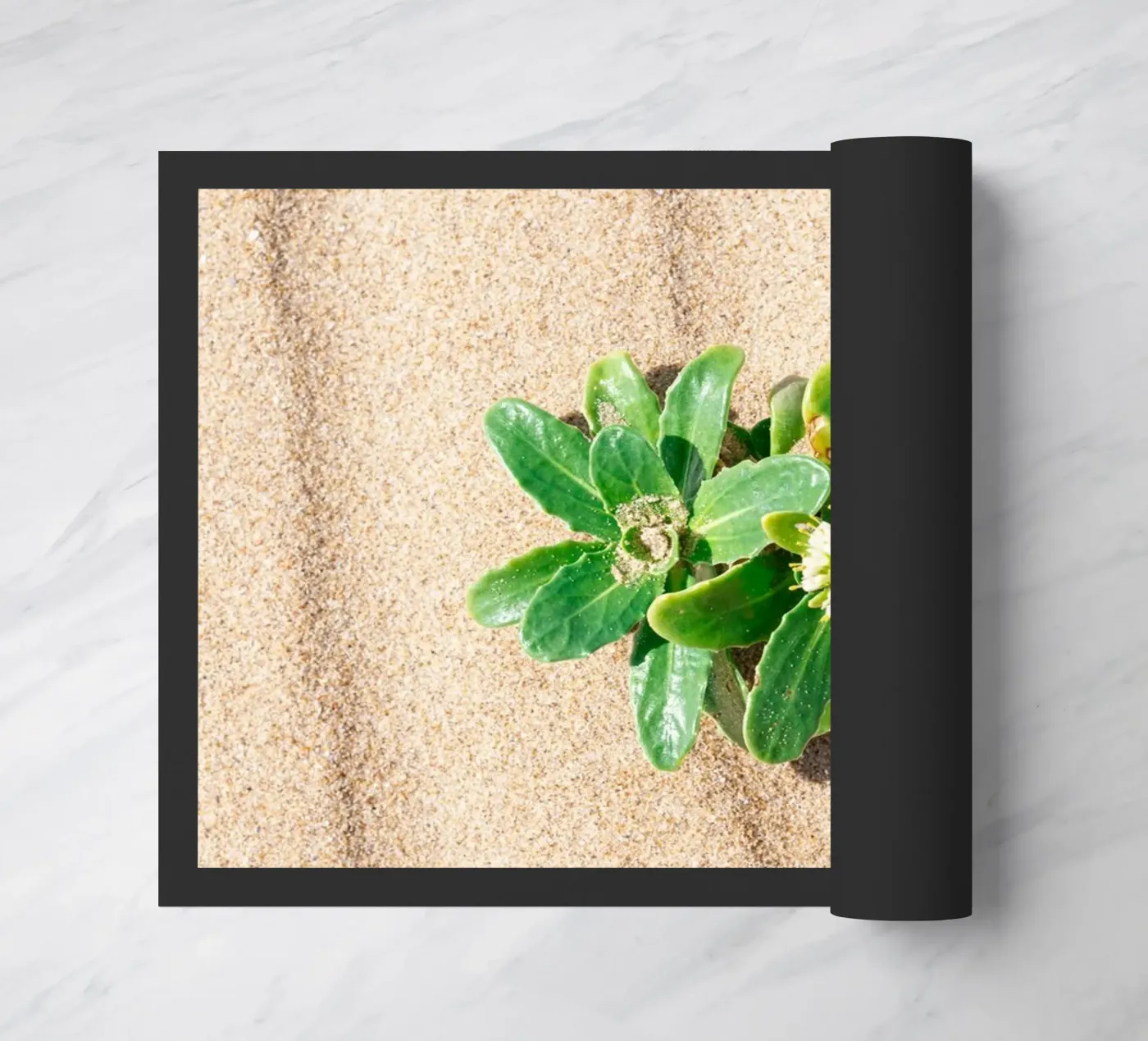 Beachly deurmat van rafael campezato