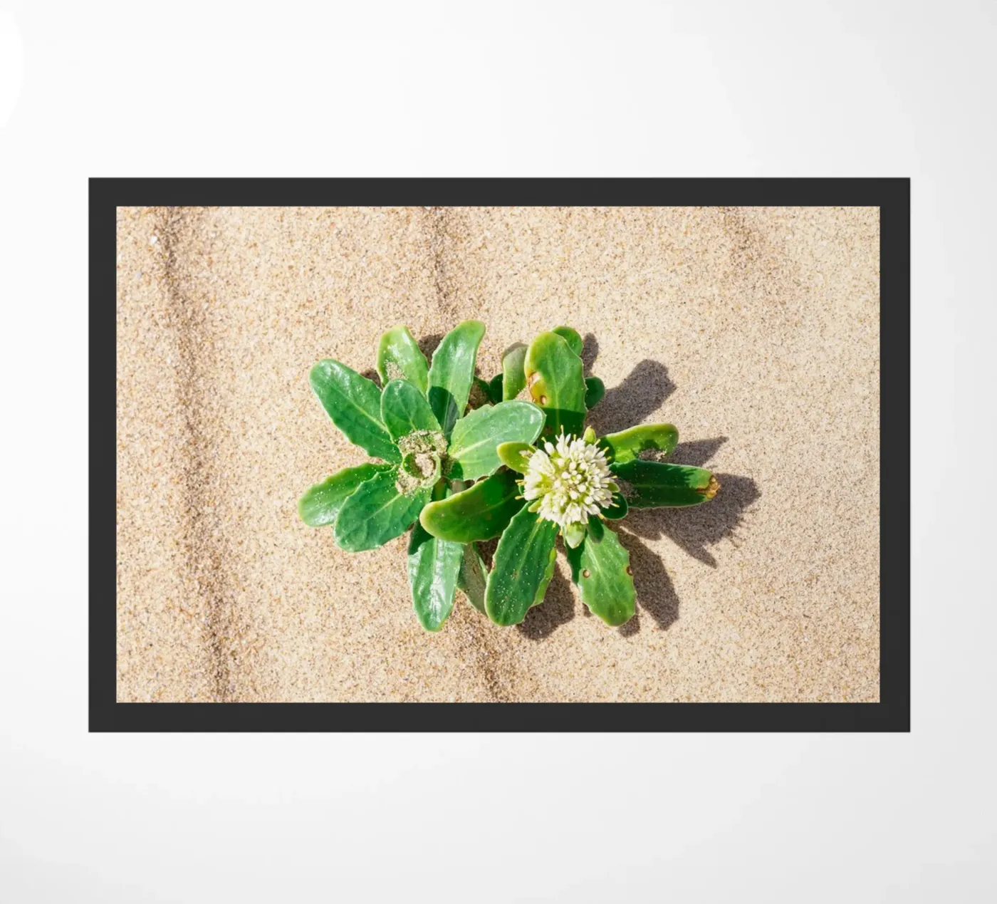 Beachly deurmat van rafael campezato