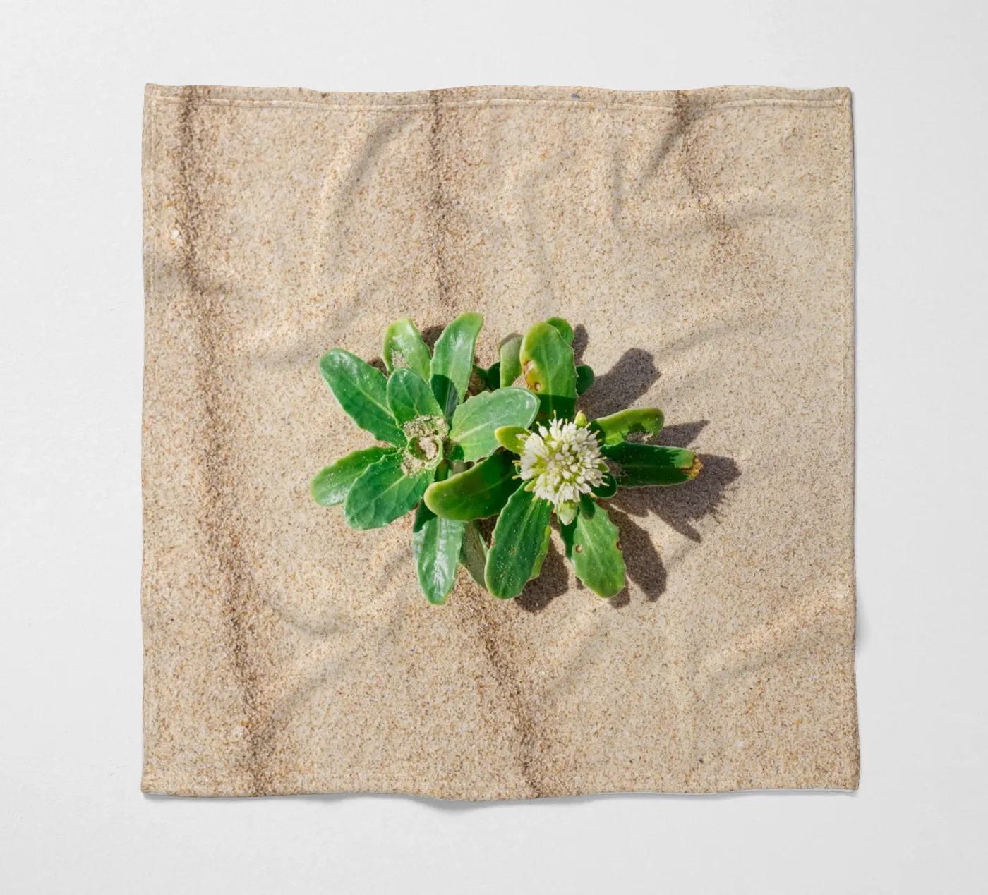 Beachly Fleecedecke von rafael campezato