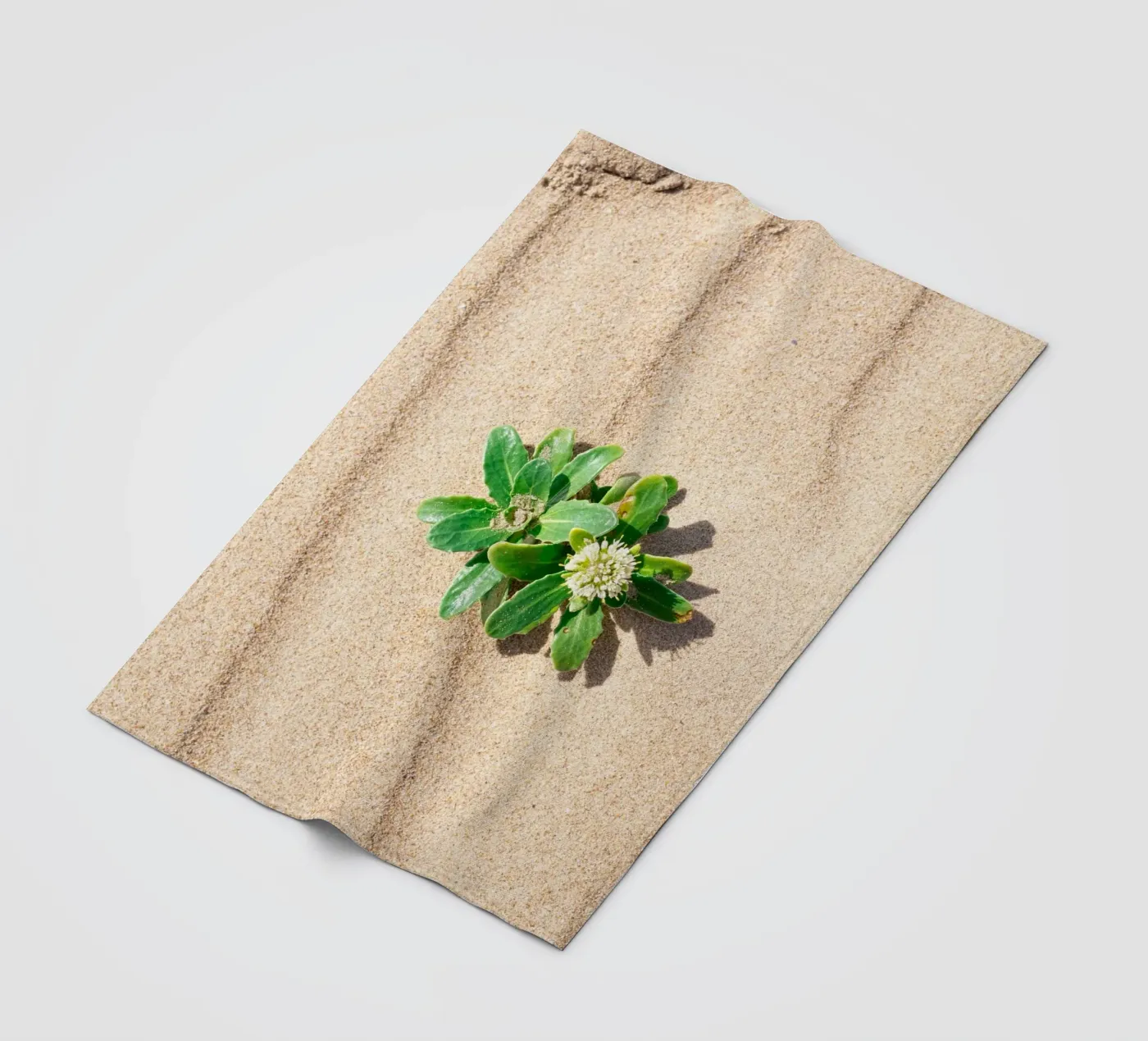 Beachly Fleecedecke von rafael campezato