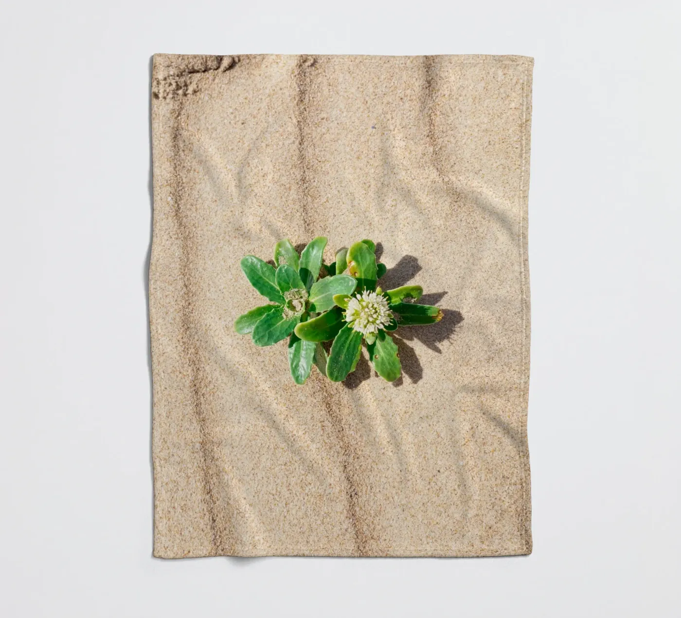 Beachly Fleecedecke von rafael campezato