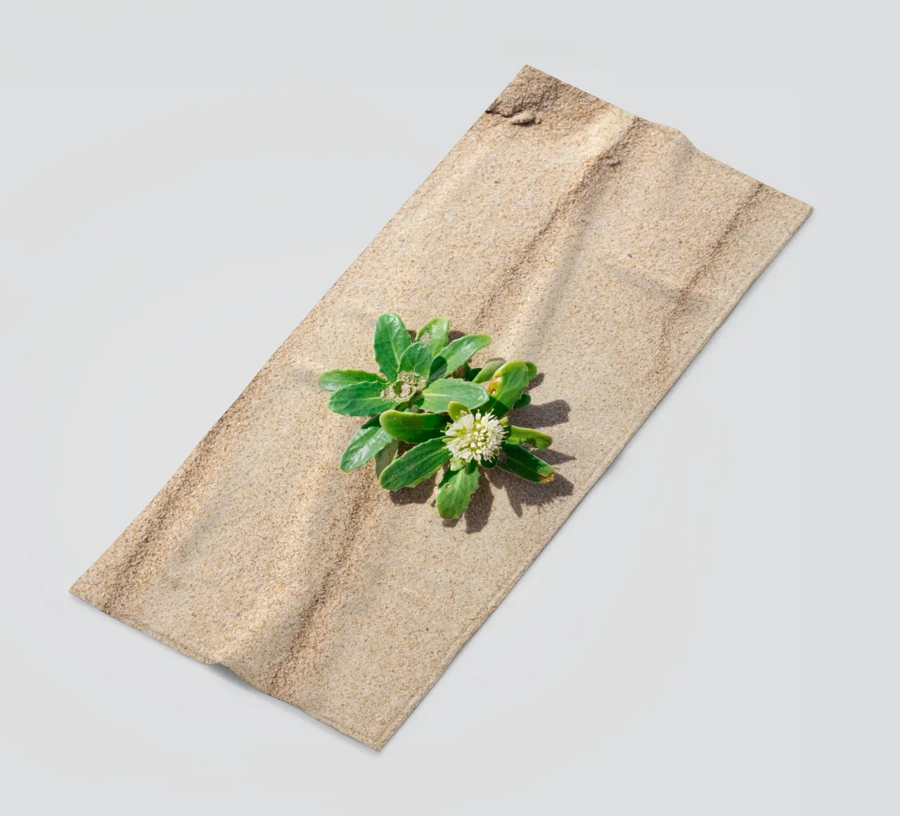 Strand strandhanddoek van rafael campezato