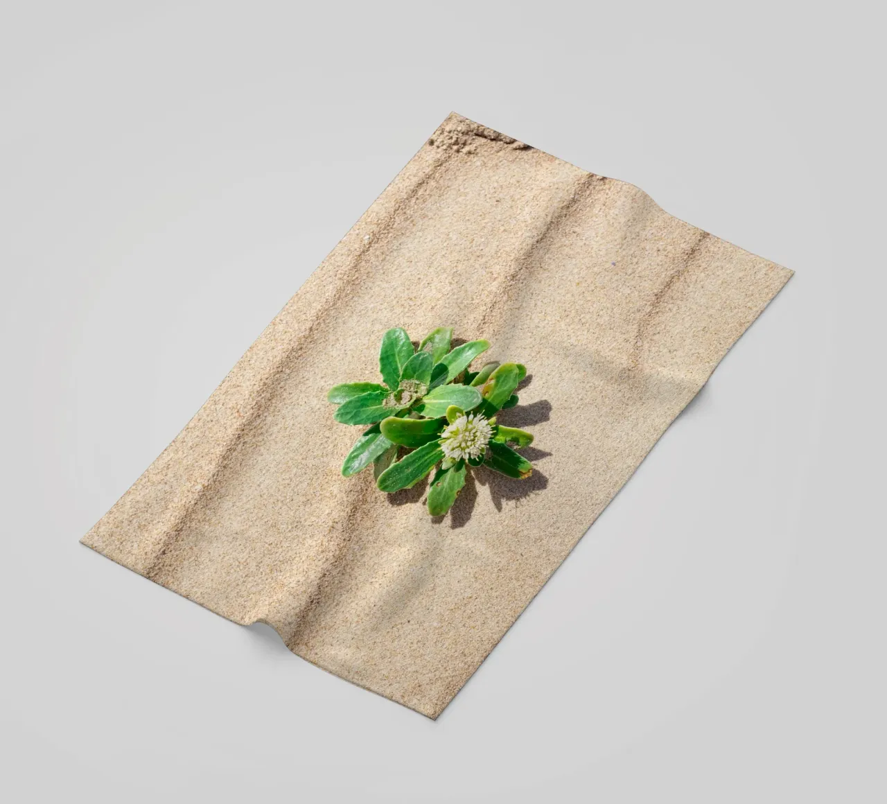 Strand strandhanddoek van rafael campezato