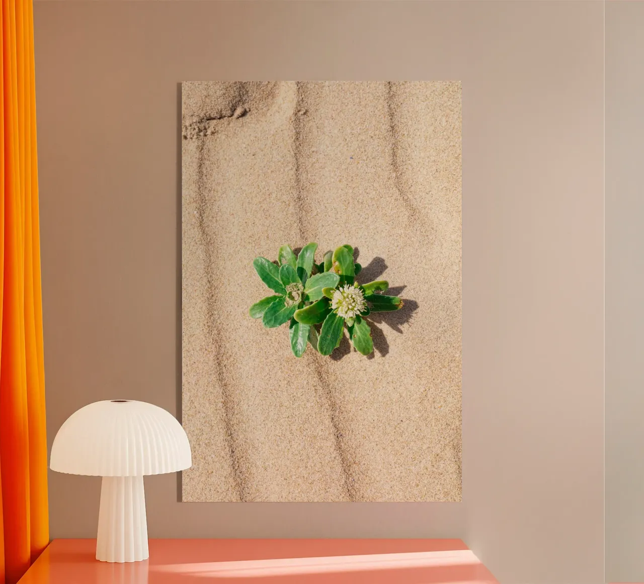 Beachly plexiglass da rafael campezato