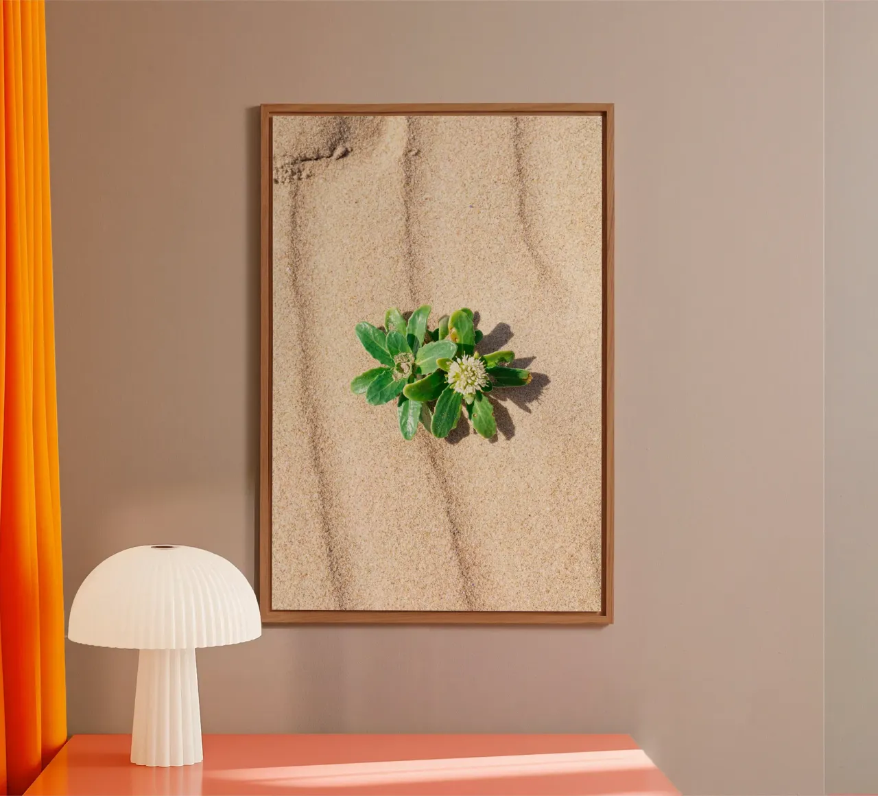 Beachly forex plate by rafael campezato