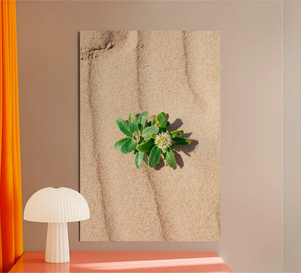 Beachly forex plate by rafael campezato