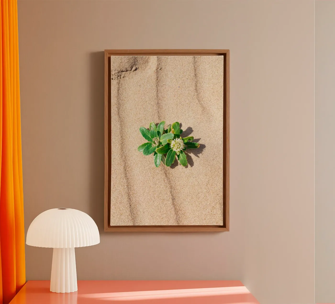 Beachly tela da rafael campezato