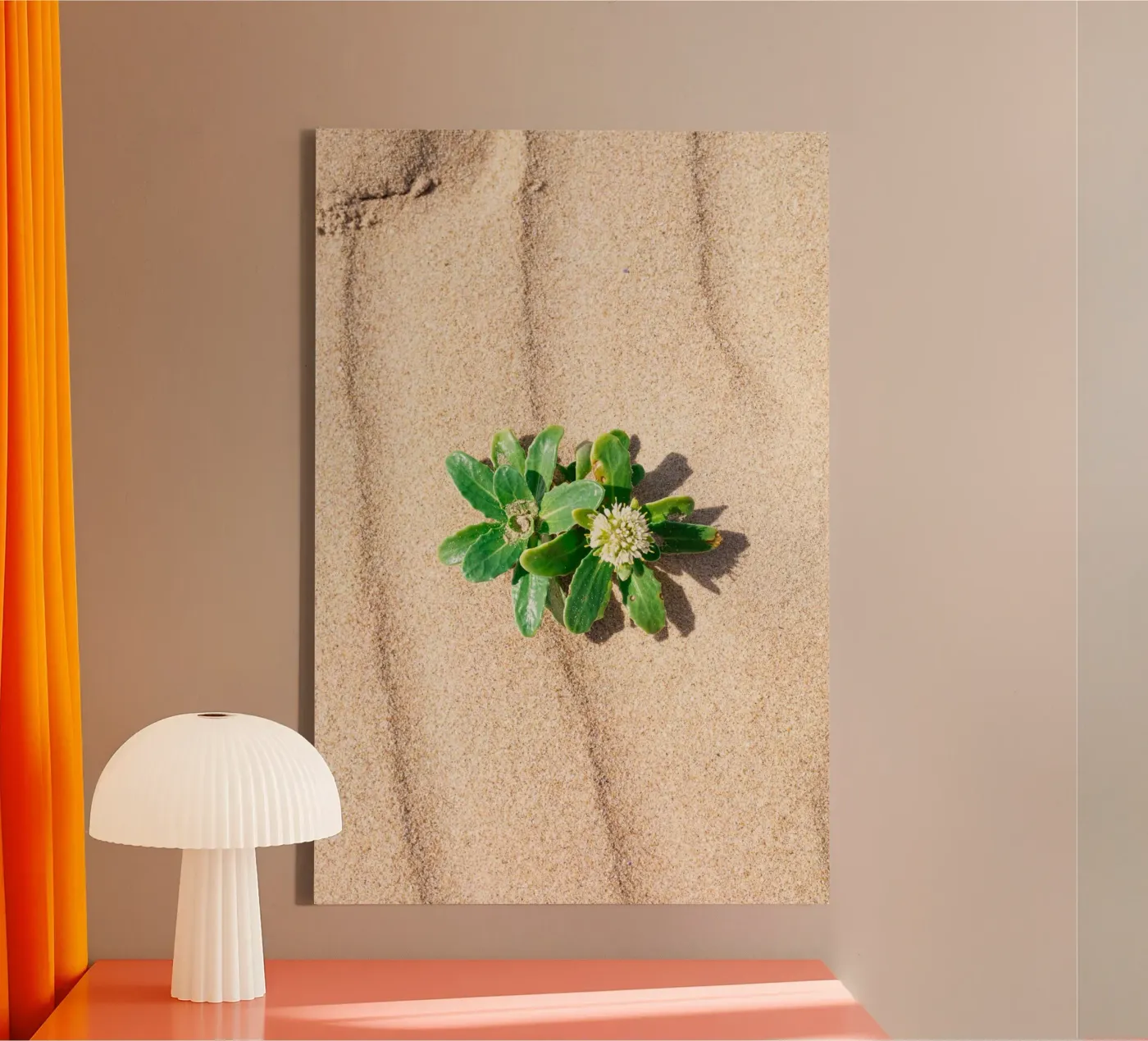 Beachly tela da rafael campezato