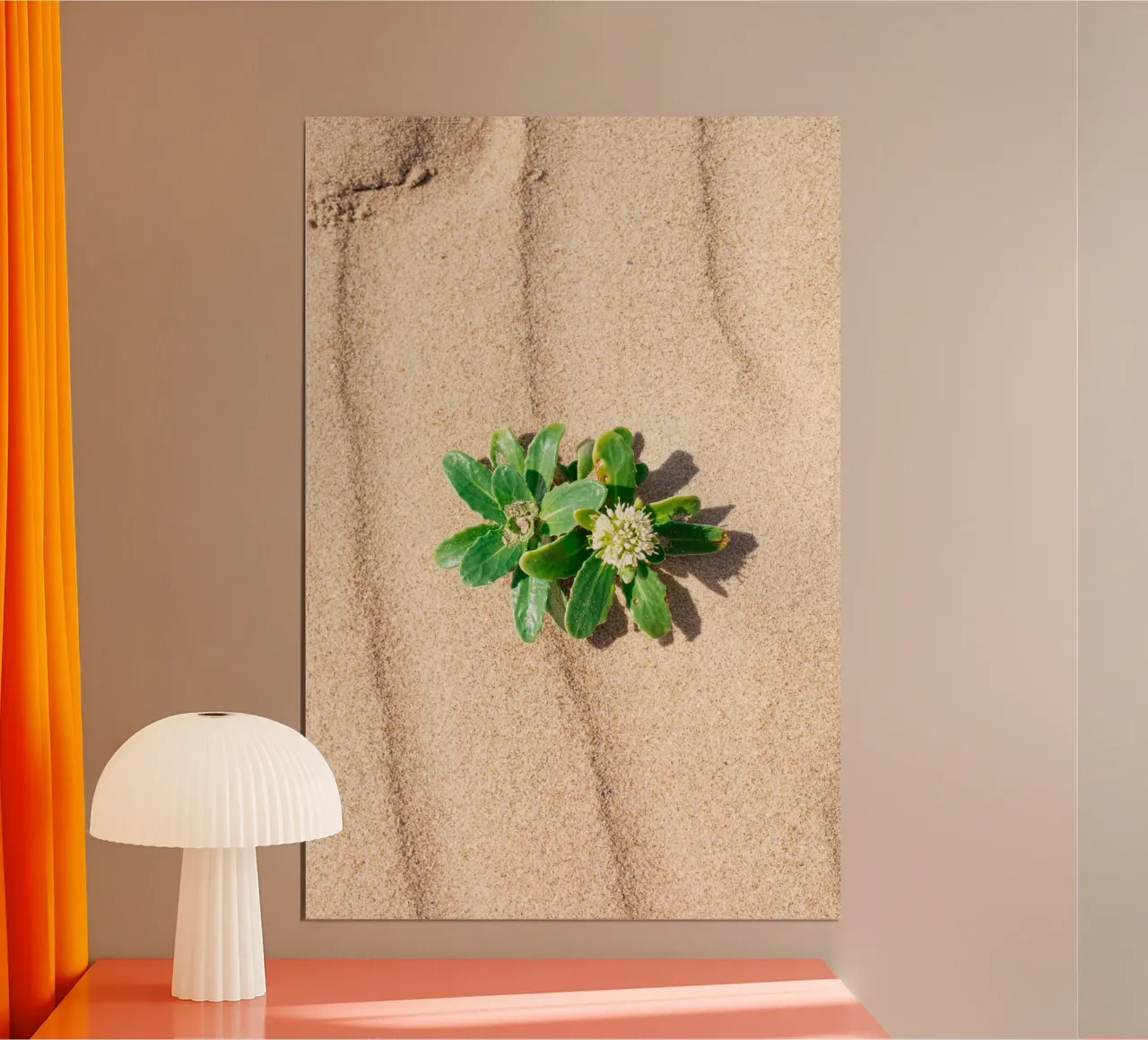 Beachly poster da rafael campezato