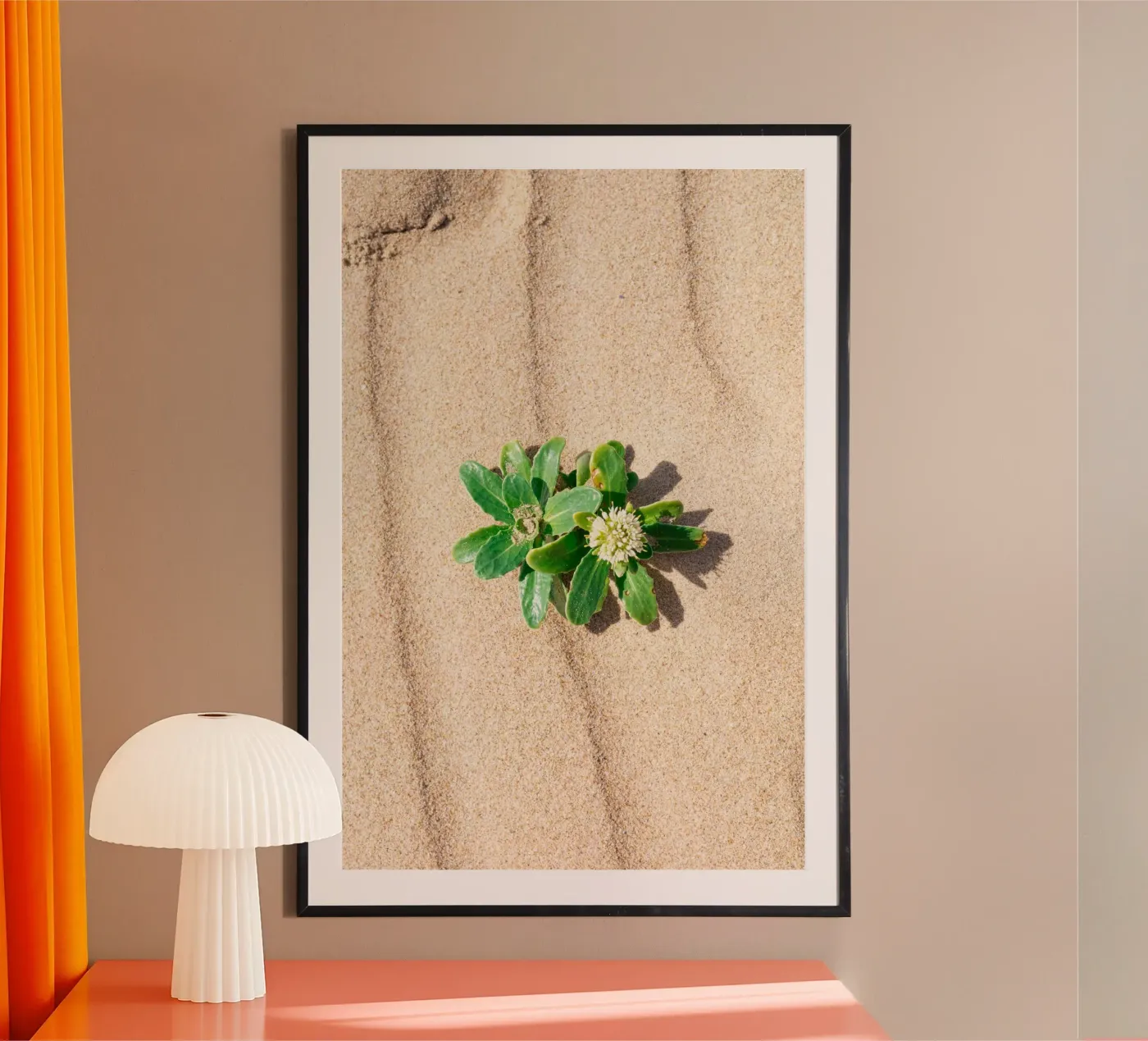 Beachly poster da rafael campezato