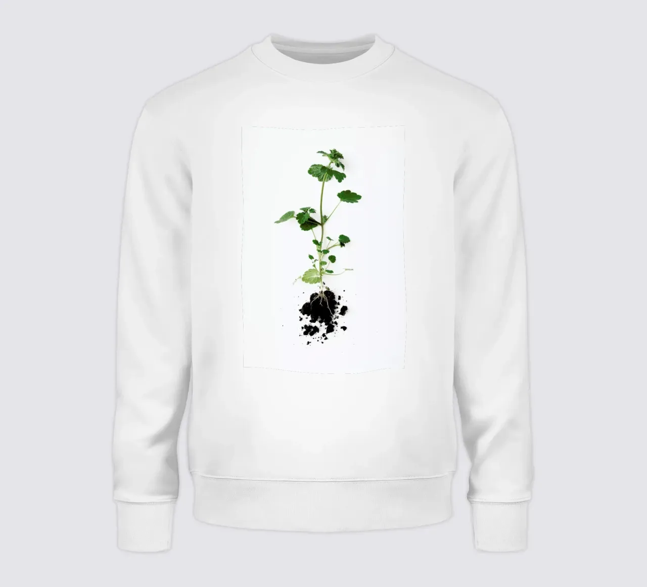 Root sweatshirt by Miles of Light