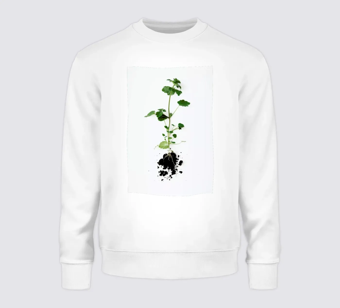 Root sweat de Miles of Light