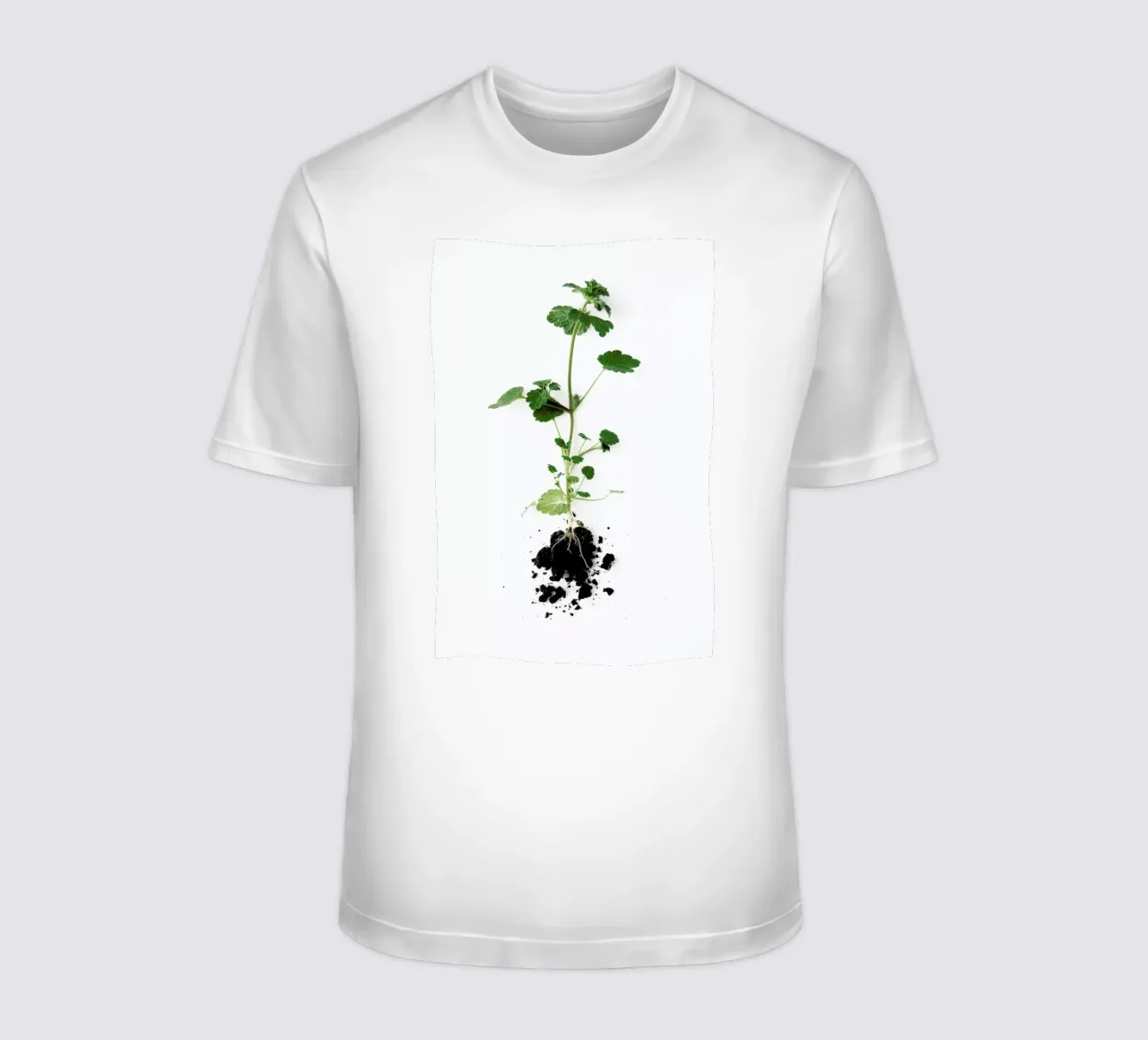 Root t-shirt da Miles of Light