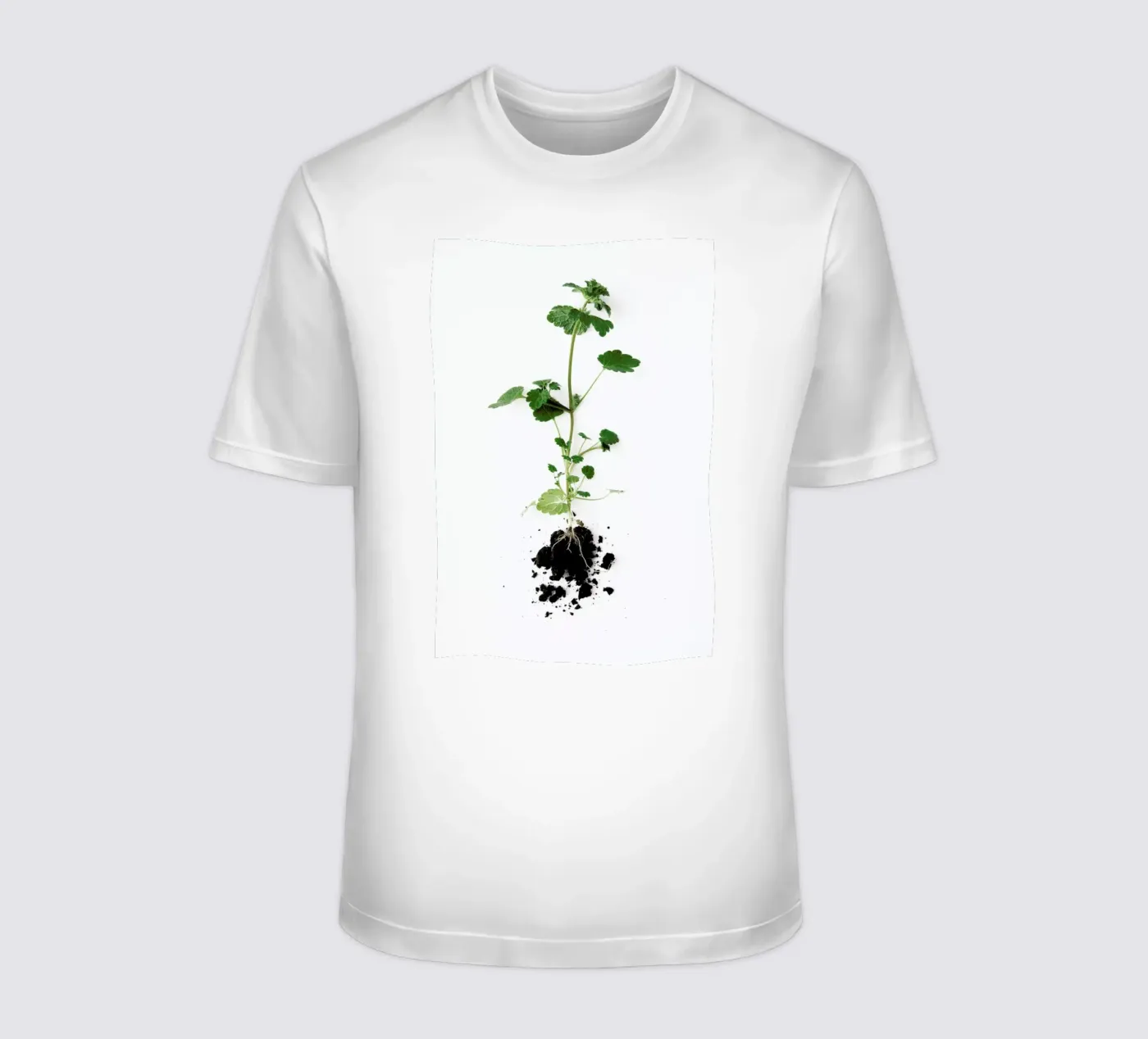 Root t-shirt da Miles of Light
