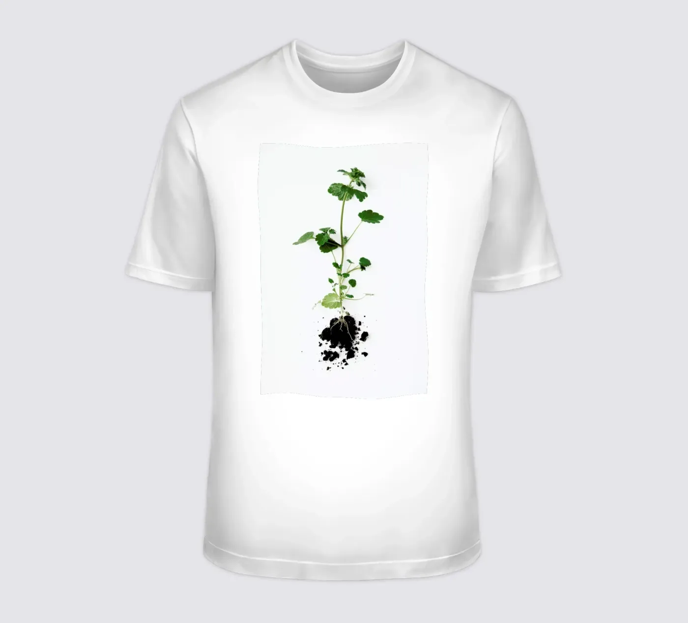Root t-shirt da Miles of Light