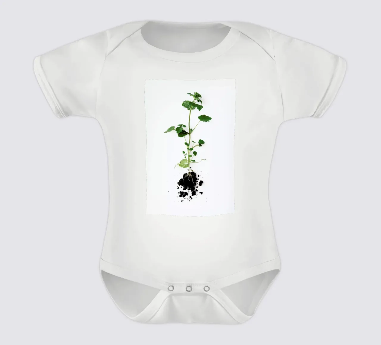 Root body bébé de Miles of Light