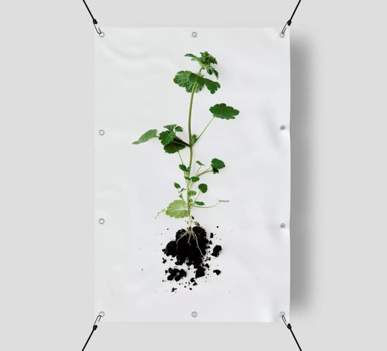 Root PVC Plane von Miles of Light